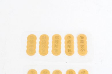 中国最佳销售磨砂塑料标签贴纸模具塑料化妆品瓶标签贴纸